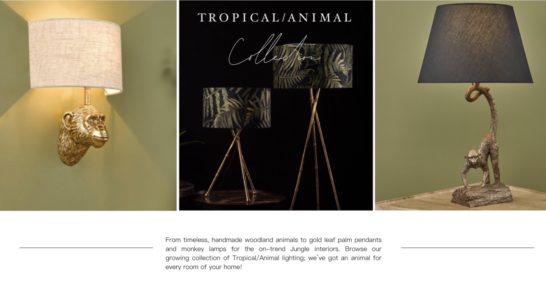 Tropical/Animal Lighting 