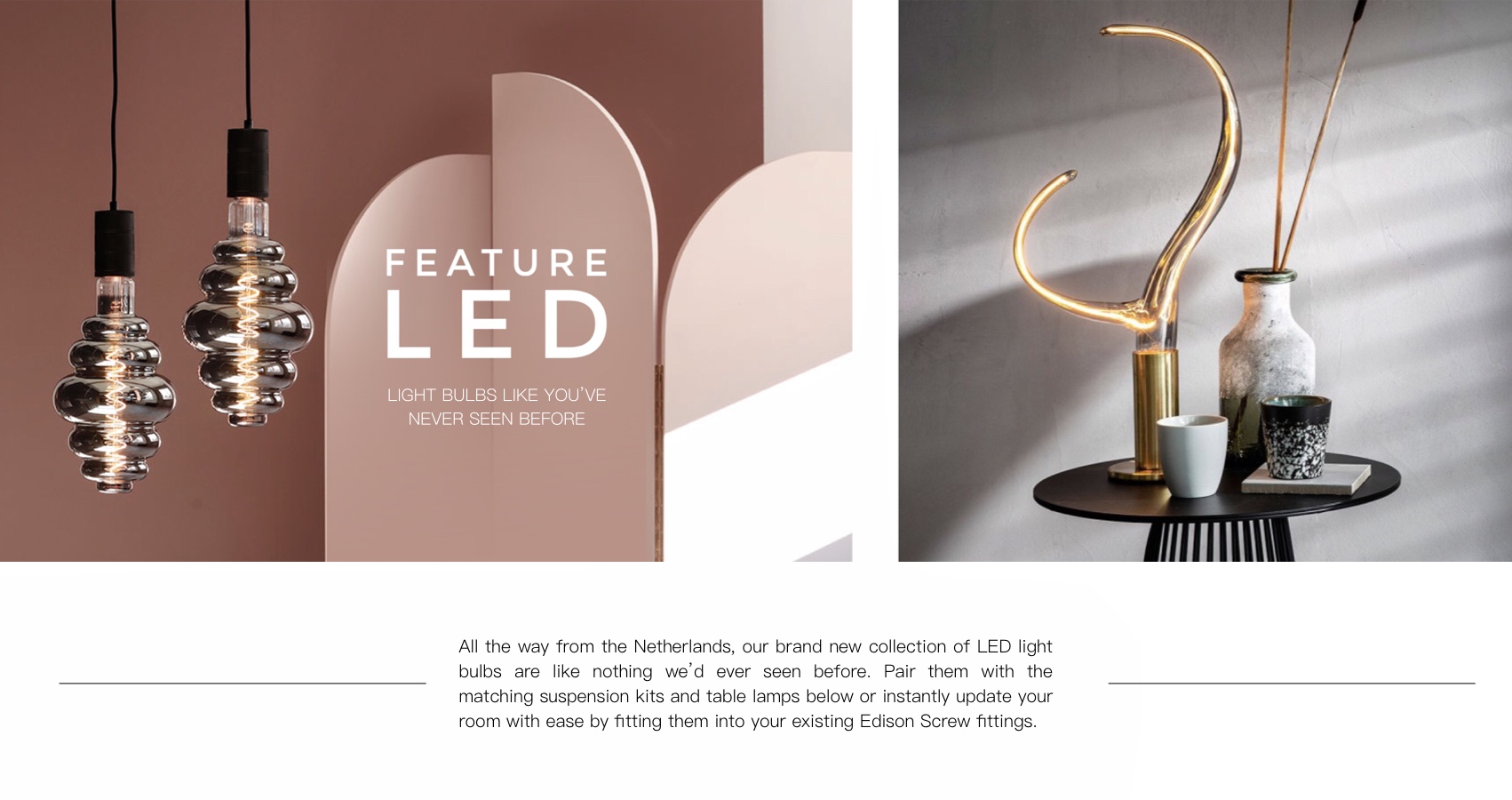 Feature LED Light Bulbs 