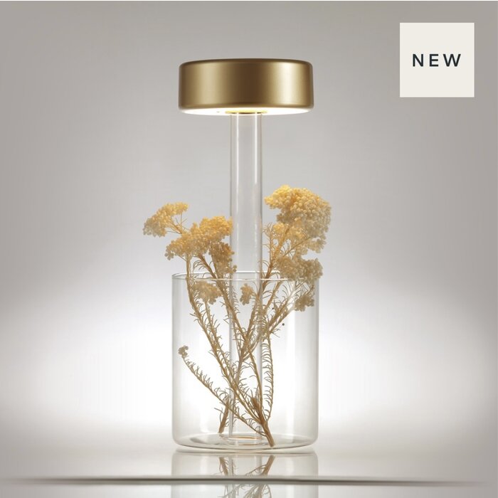 Elke - Minimalist Rechargeable Cordless Battery Table Lamp - Gold