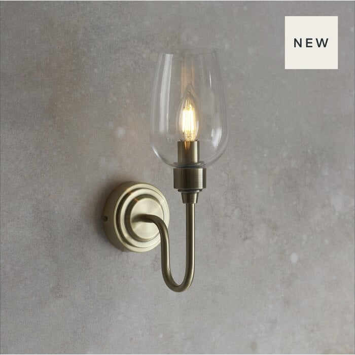 Rupert - Antique Brass Swan Neck Wall Light with Clear Glass